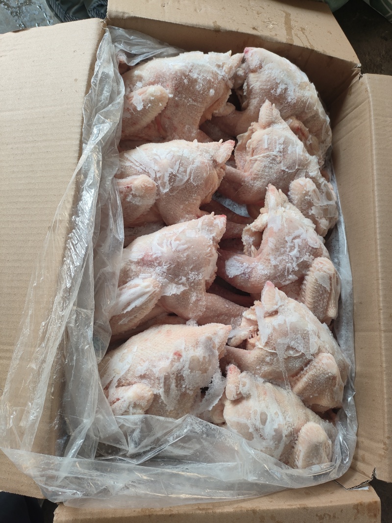 579小公鸡，烧鸡熏鸡风干鸡盐焗鸡等等