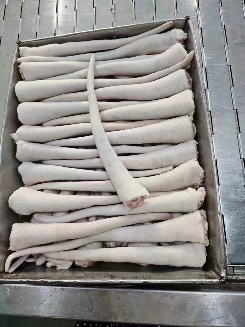 长猪尾