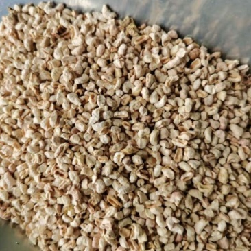 抛光玉米芯颗粒除尘抛光用于香包填充仓鼠垫料等玉米芯