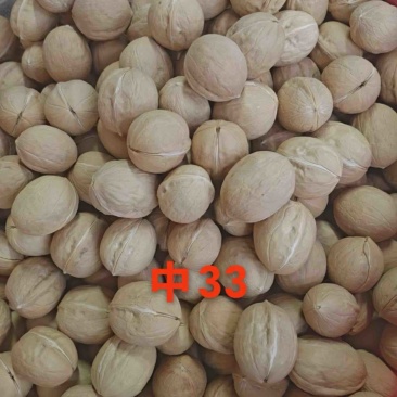 33核桃中货中个
