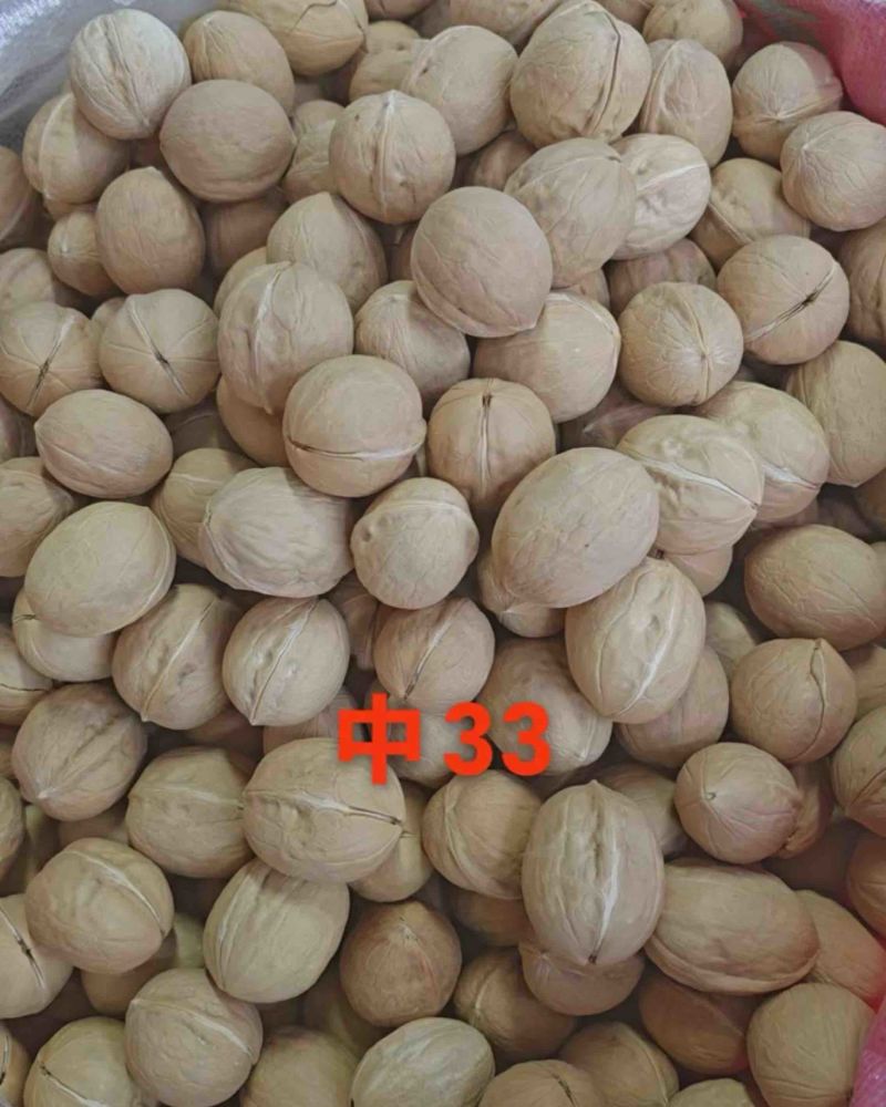 33核桃中货中个