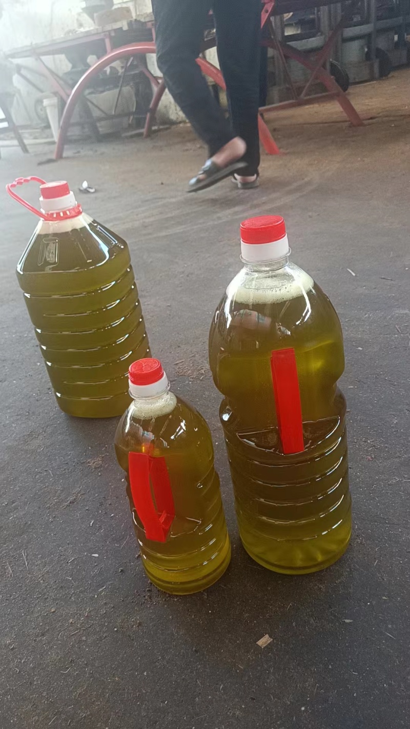 野生小颗山茶籽油