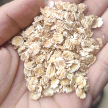 长期出售压麦片