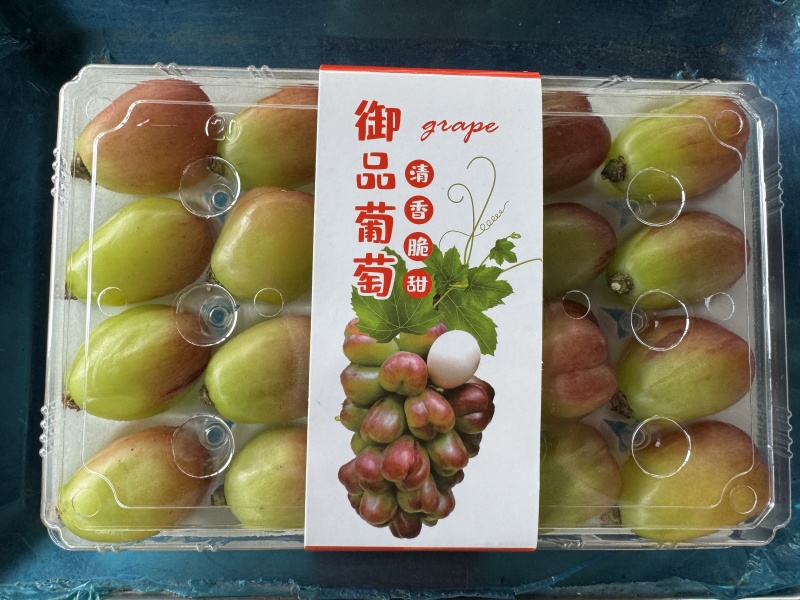 御品葡萄