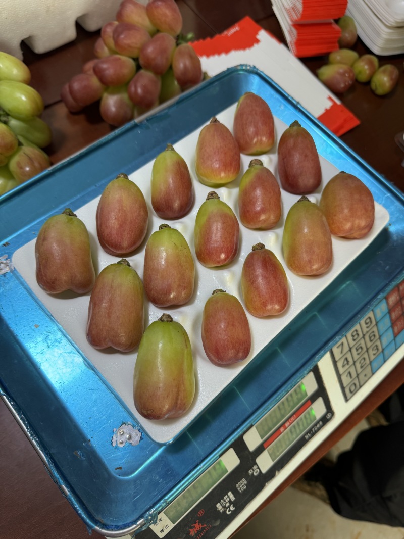御品葡萄
