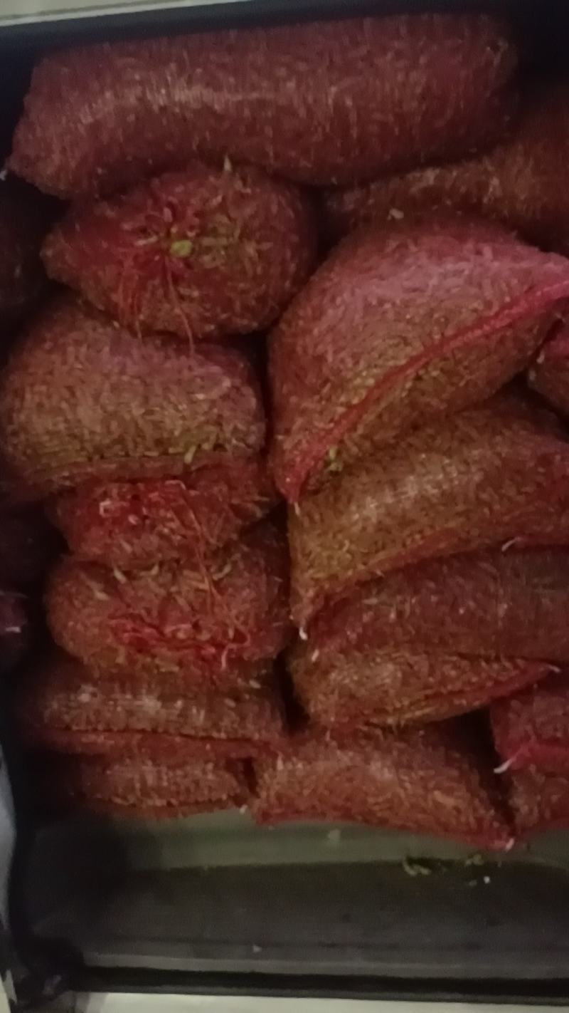 【优选】江苏南通精品毛豆产地直发货源充足