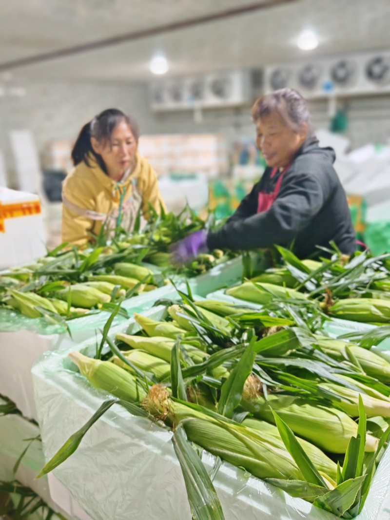 鹏博农业科技有限公司日常分享