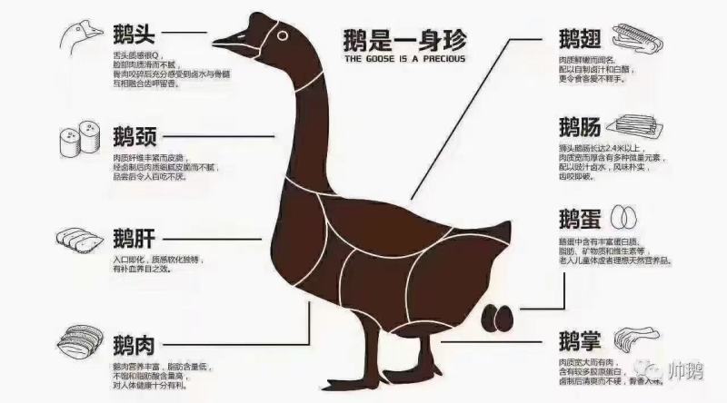 中龄鹅，冬天炖大鹅3斤一包，10斤一件，小包装，保存方