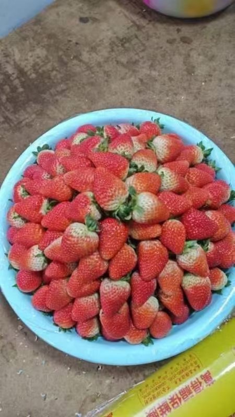 草莓