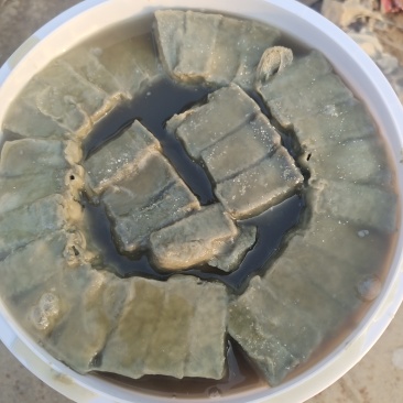 臭豆腐