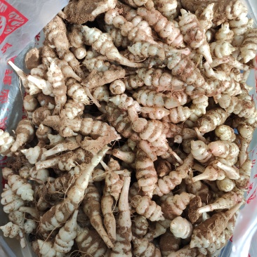 地环批发