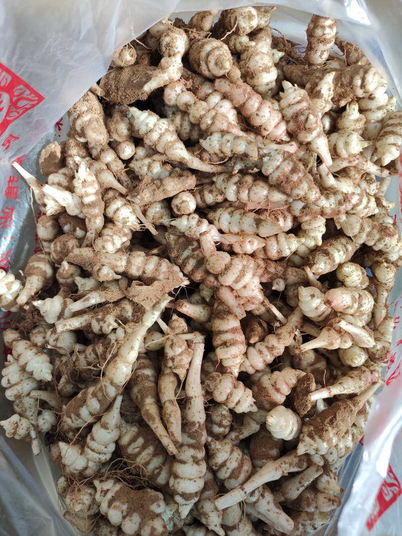 地环批发