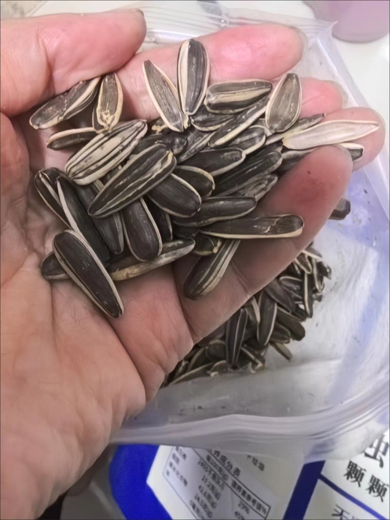 瓜子电商货，色选筛下来的