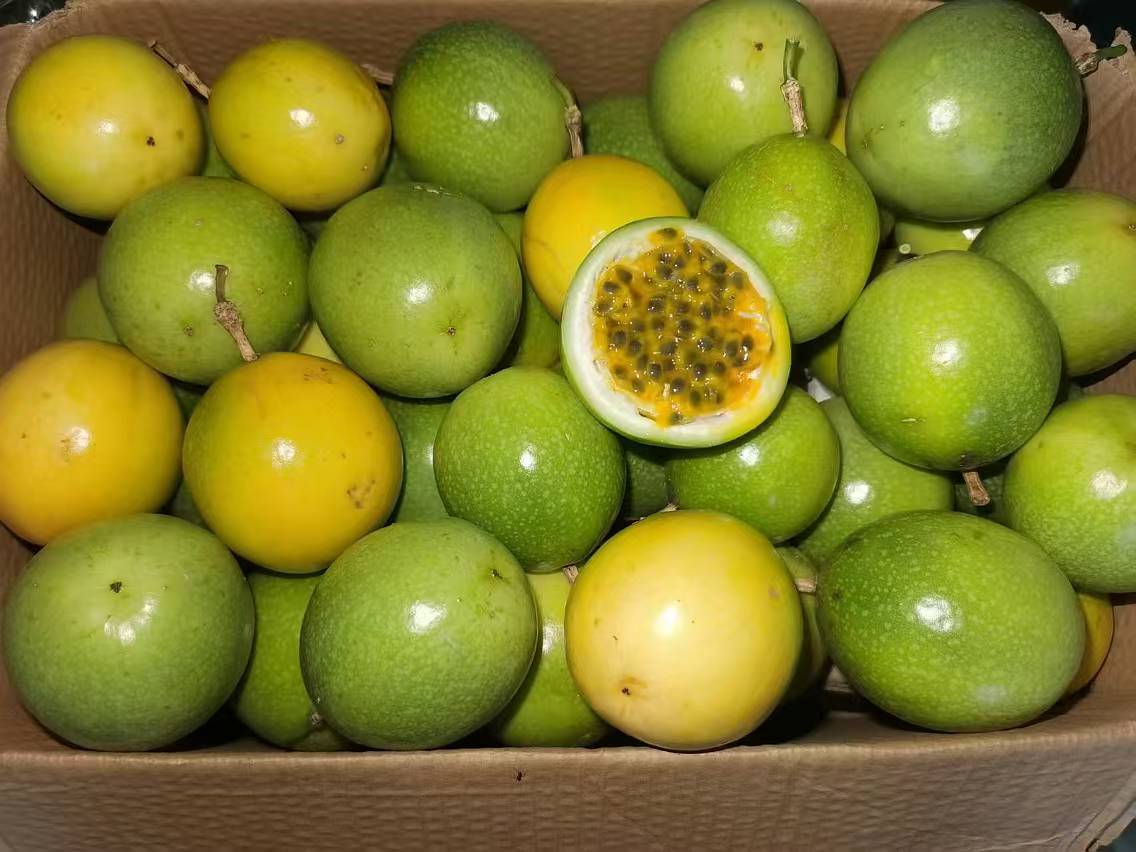 新鲜与变质百香果对比图