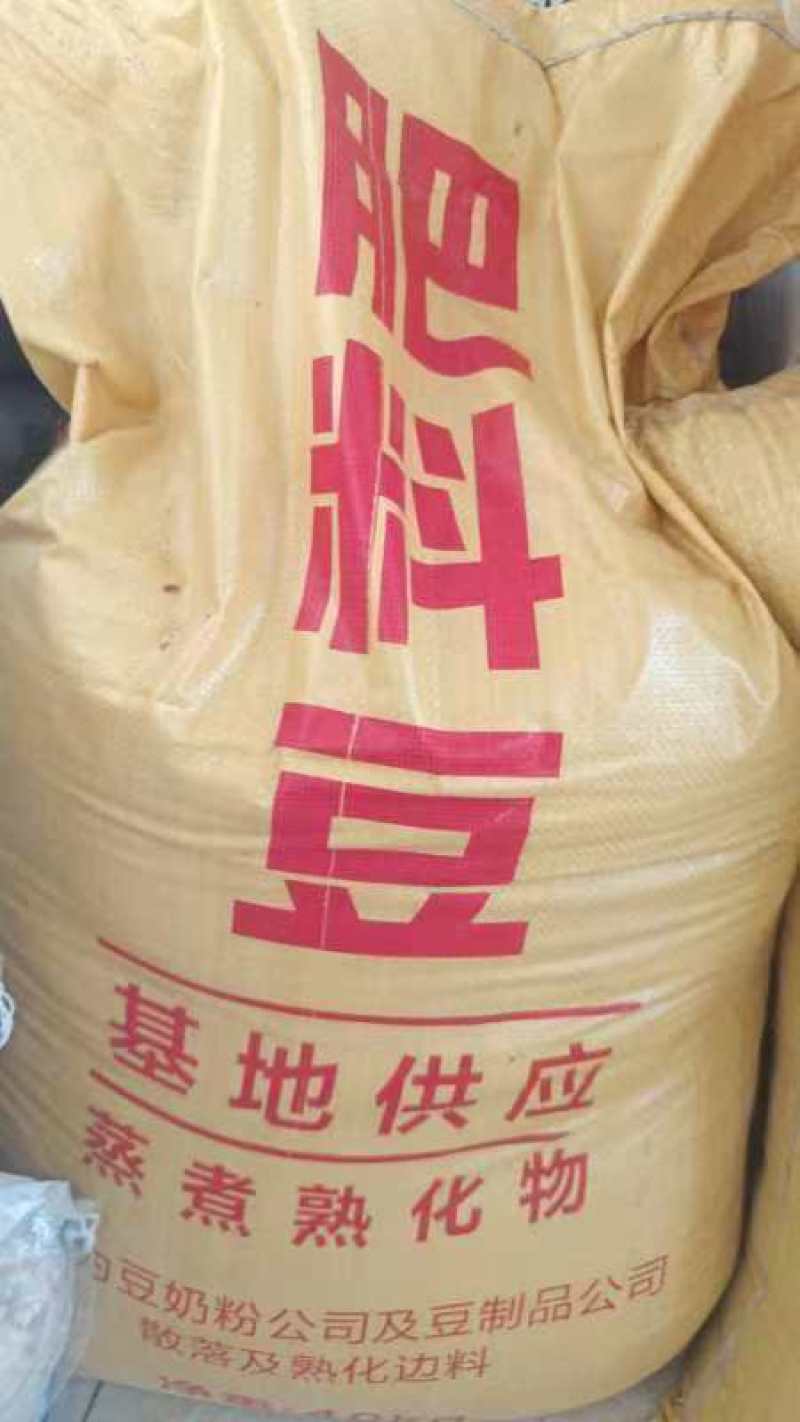 黄豆、肥料豆、碎豆瓣、养殖豆榨油压饼果树施肥大棚种植