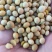 黄豆、肥料豆、碎豆瓣、养殖豆榨油压饼果树施肥大棚种植
