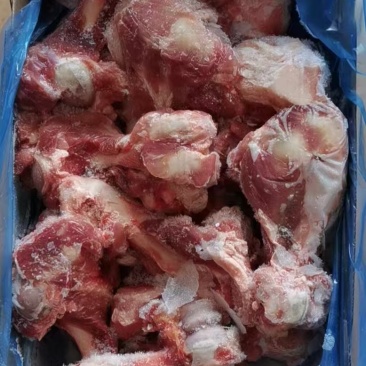 25厂多肉前腿骨