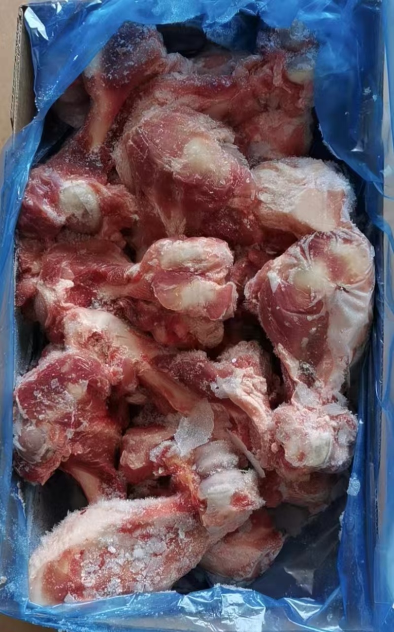 25厂多肉前腿骨