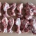 25厂多肉前腿骨