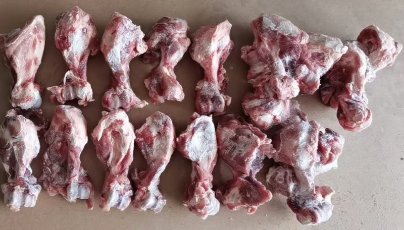 25厂多肉前腿骨