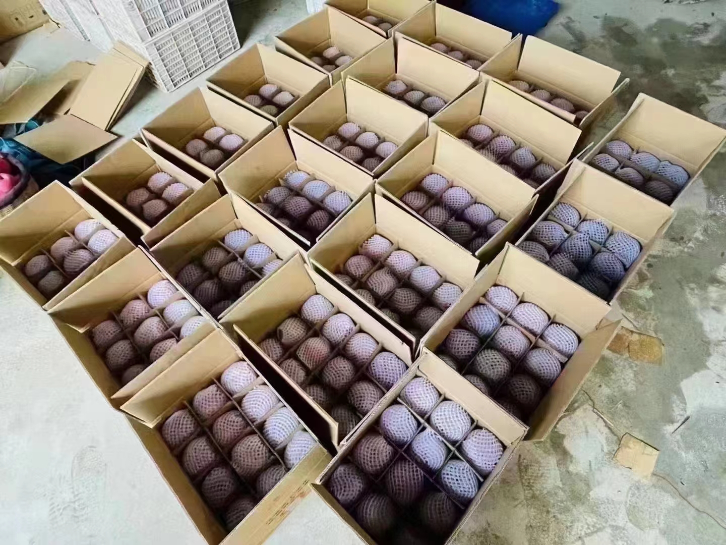 展示CooDoo苹果的电商包装和线上销售场景,包括精美礼盒与物流打包过程 CooDoo苹果电商销售与包装展示图
