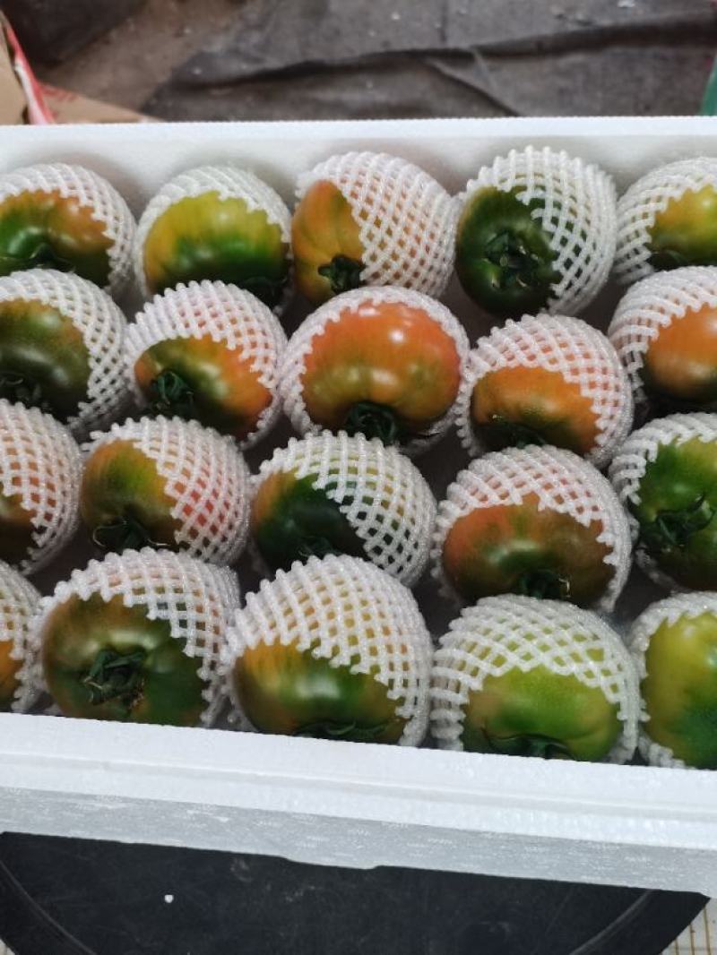 西红柿番茄