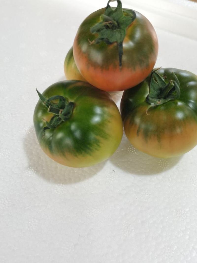 西红柿番茄