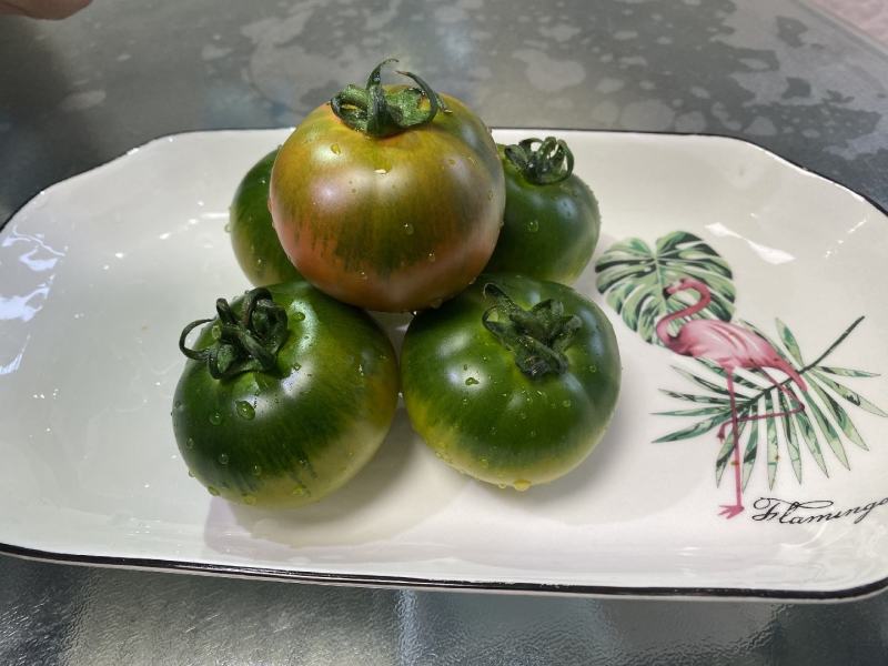 西红柿番茄