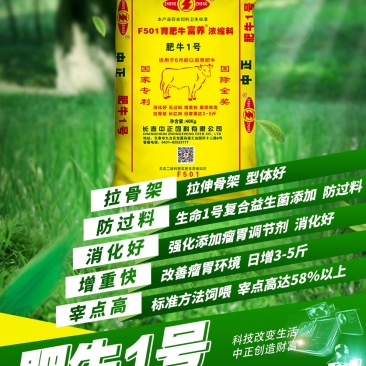 肥牛1号