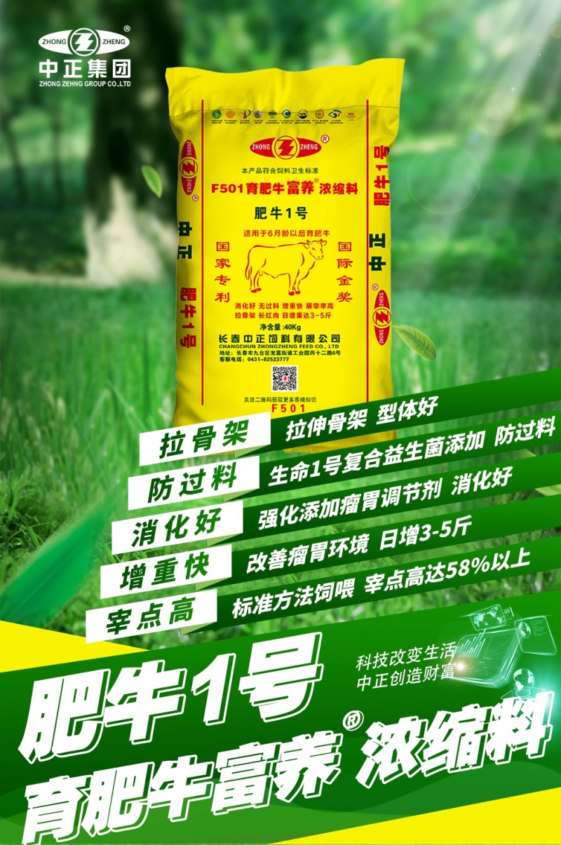 肥牛1号