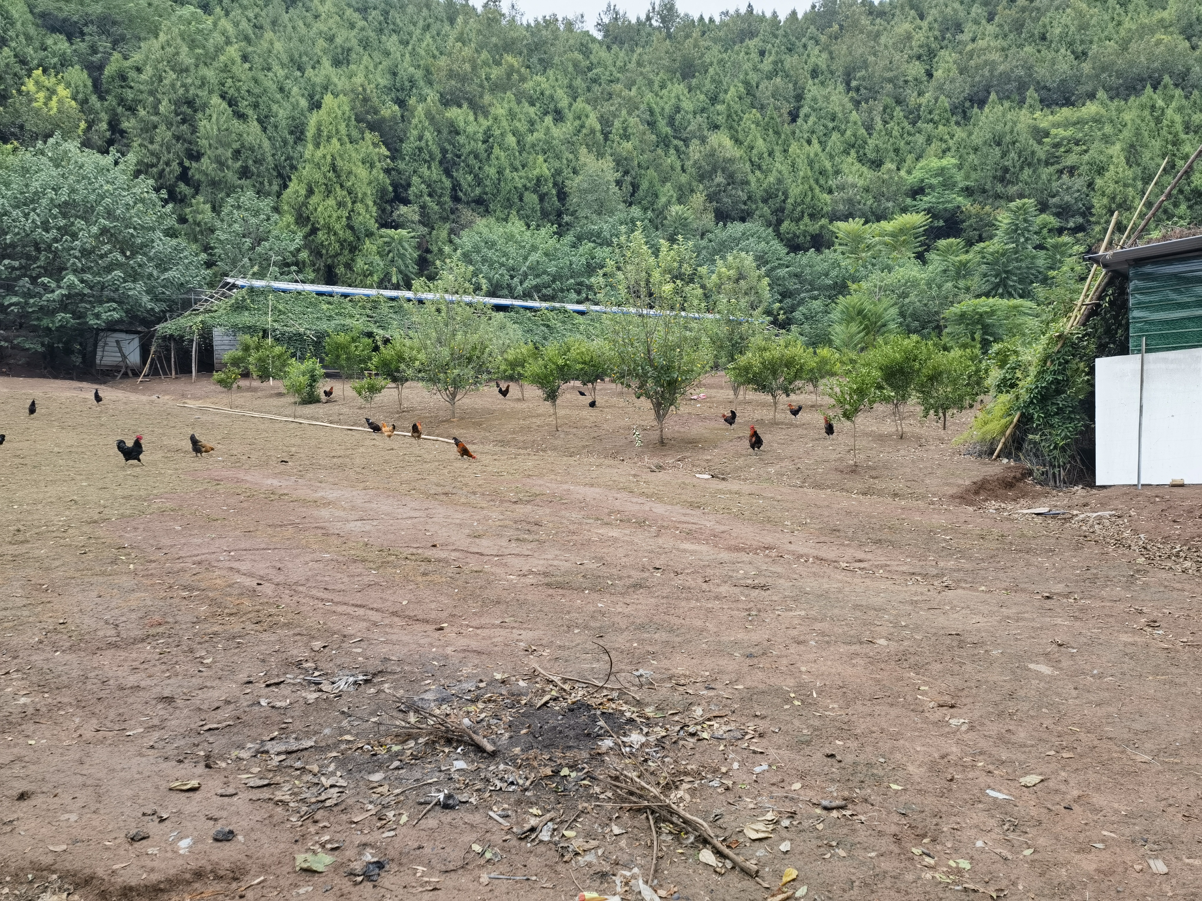 生态养殖基地图