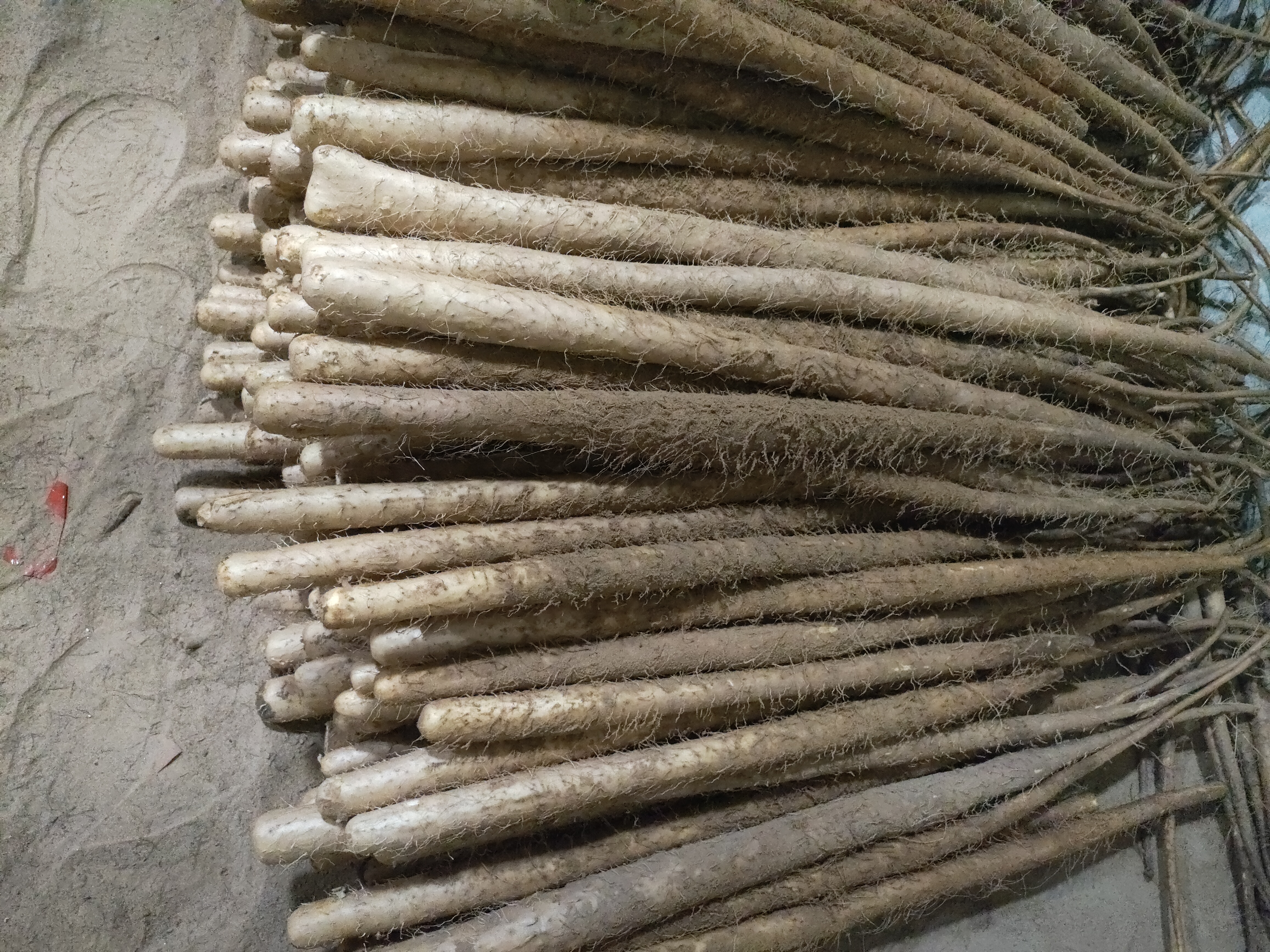 淮山药市场挑选图