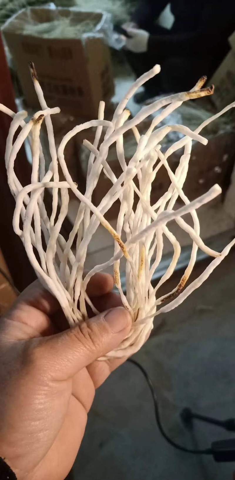 纯红薯粉条大粉皮，不加木薯粉