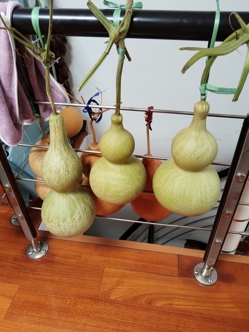 奇型葫芦