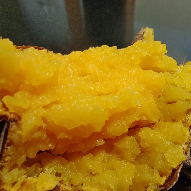 红薯，蜜薯，北京553等