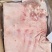 带皮前上肉一箱10公斤两片添称毛净度很好