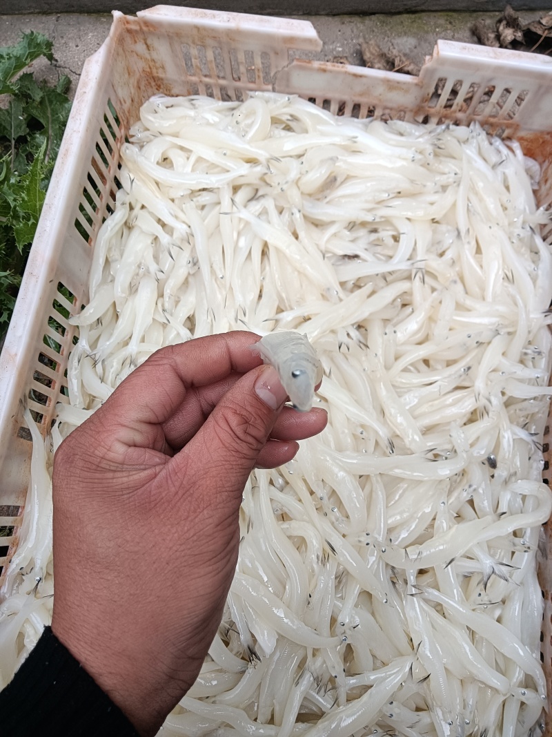 10月14号解冻实测。