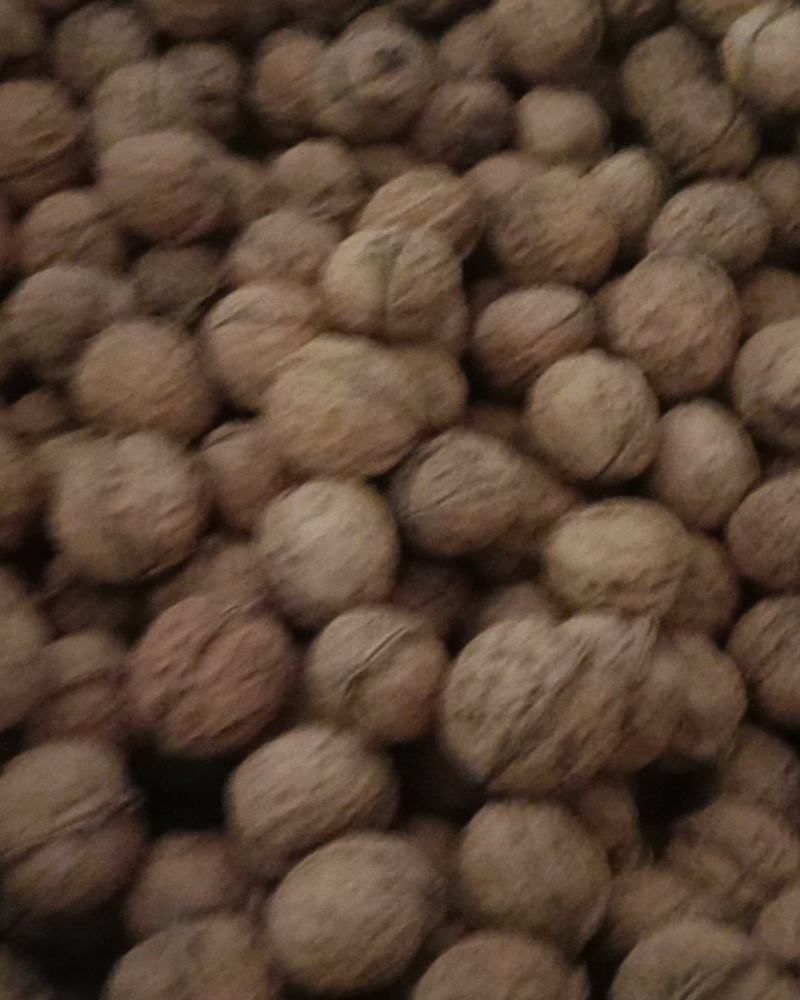 核桃