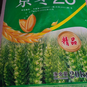 北京农科院选育冬小麦高产新品种生产公司