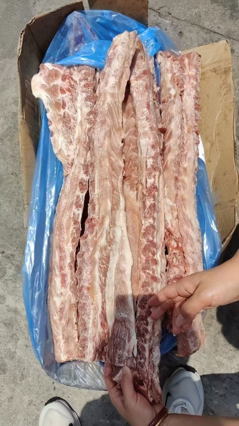 猪龙骨