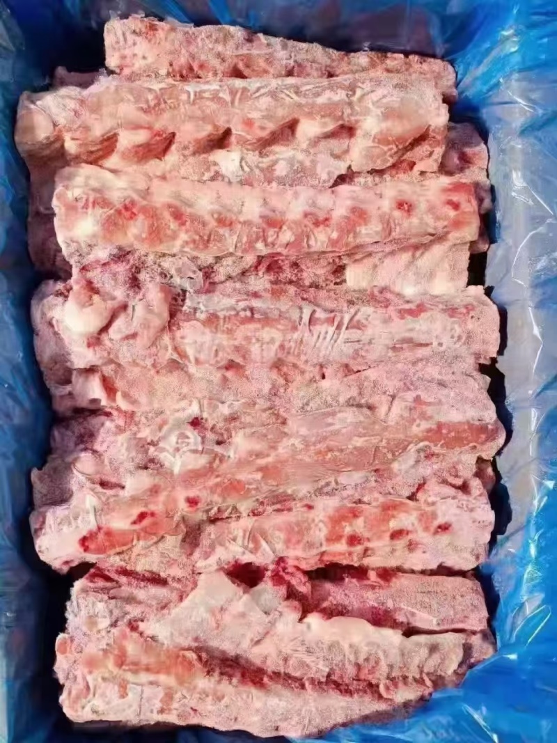 258龙骨