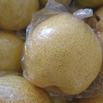 正宗雪花梨产地，无中间商赚差价