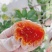 陕西富平山里柿饼