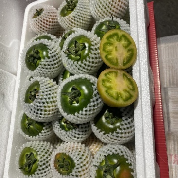 碱地柿子铁皮柿子绿腚柿子草莓柿子番茄