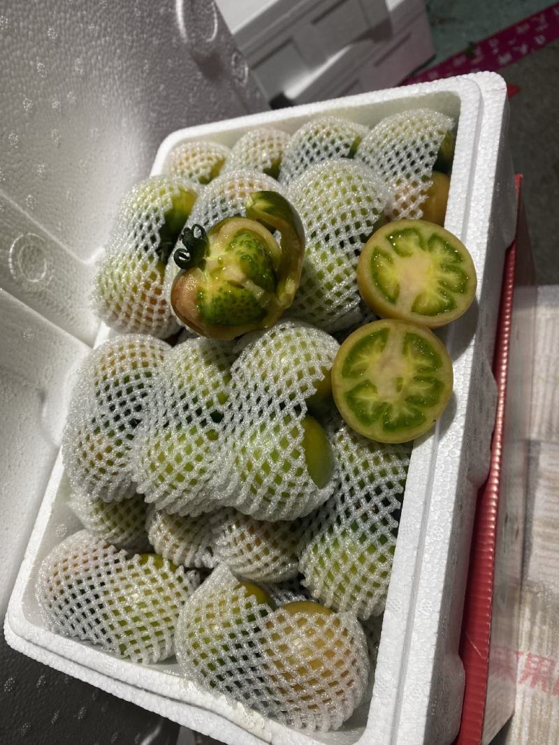 碱地柿子铁皮柿子绿腚柿子草莓柿子番茄
