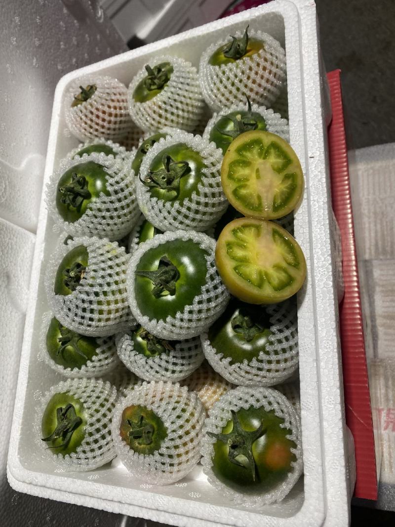 碱地柿子铁皮柿子绿腚柿子草莓柿子番茄