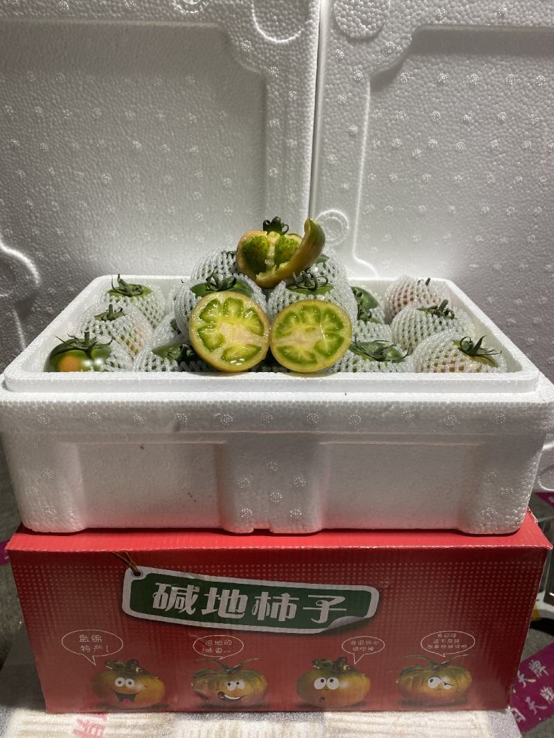 碱地柿子铁皮柿子绿腚柿子草莓柿子番茄