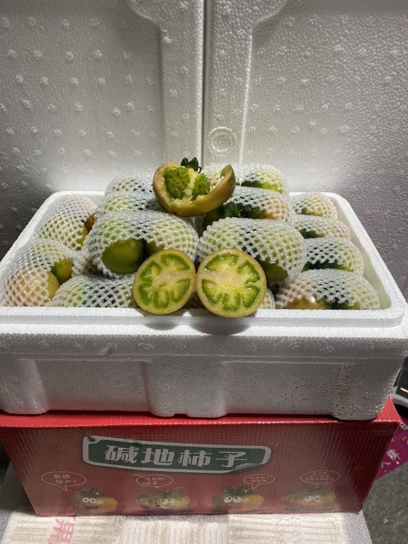 碱地柿子铁皮柿子绿腚柿子草莓柿子番茄