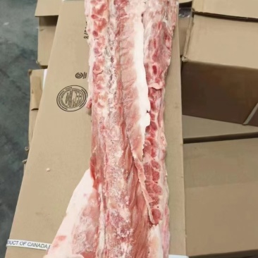 126多肉龙骨