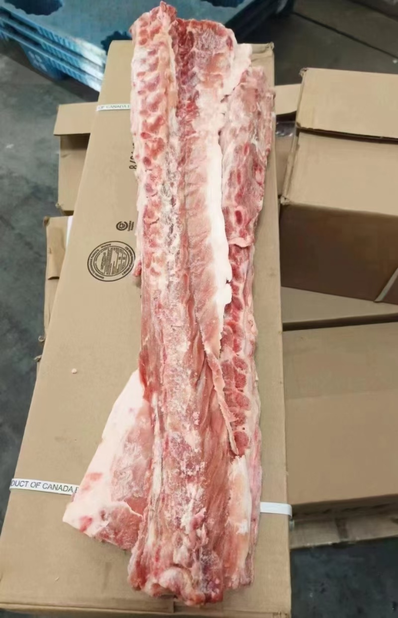 126多肉龙骨